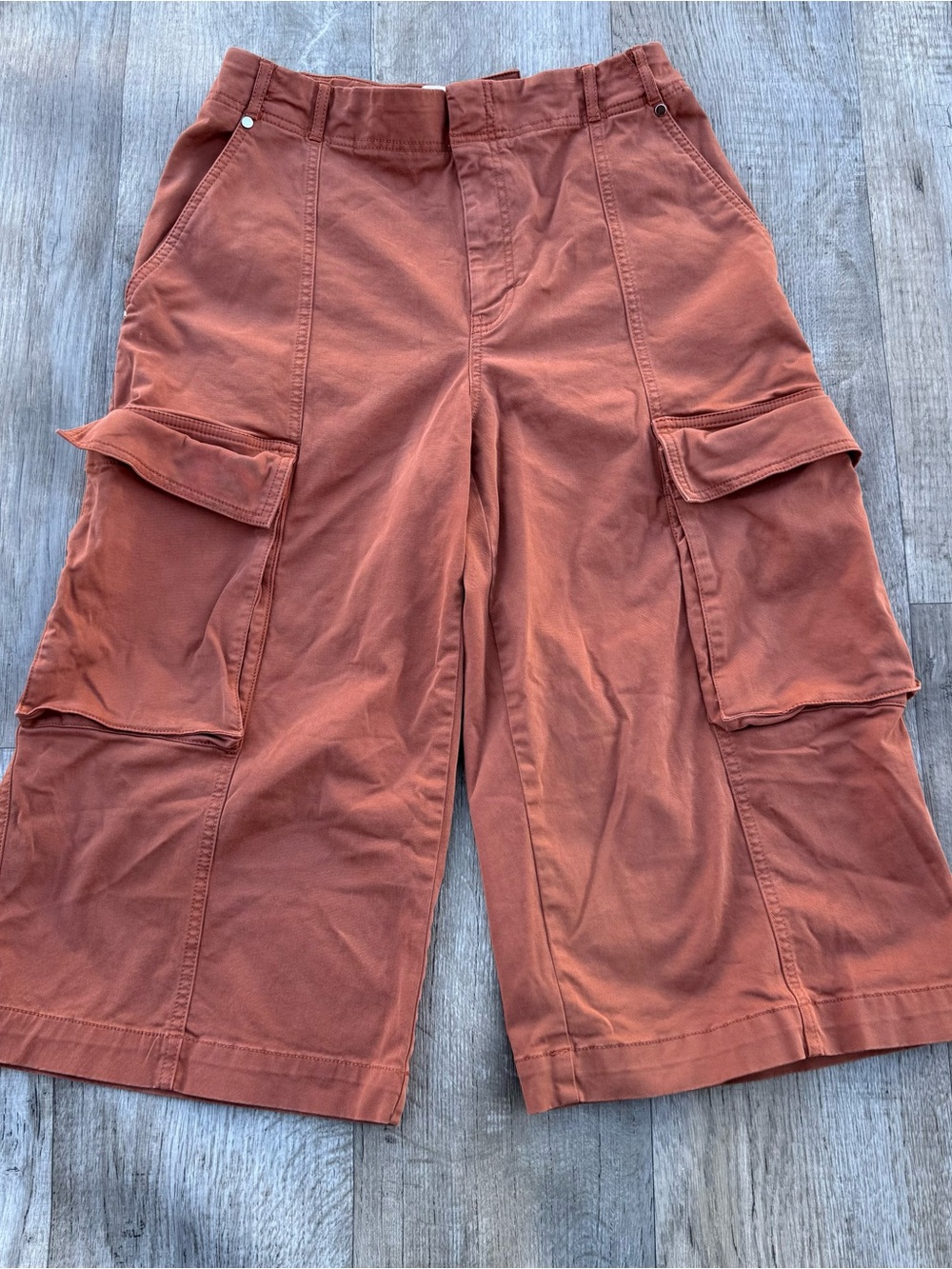 Anthropologie Rust-Brown Cargo Bermuda Shorts - Picture 3 of 11